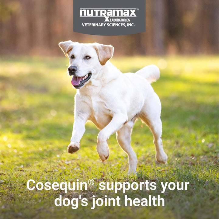 Cosequin for Dogs Joint Health Supplement, Contains Glucosamine for Dogs, plus Chondroitin and MSM, Supports Healthy Joints, for All Breeds and Sizes, Chewable Tablets, 132 Count