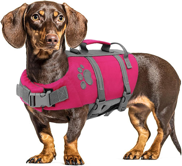XS Dog Life Jacket, Puppy Life Jackets for Small Dogs, Small Doggie Life Vest for Swimming, Lightweight Extra Small Dog Swim Vest with Handle, Puppy Life Vest for Boating, Cat Lifevest