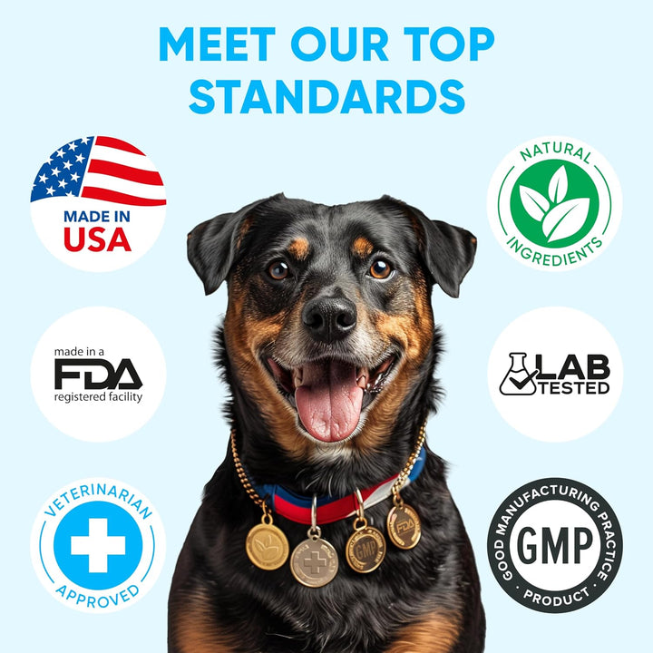 Chewable Flea and Tick Prevention for Dogs - 120 Soft Chews Made in USA - Oral Flea and Tick Control Pills for Small, Medium, Large Dogs and Puppies - Skin and Coat Supplement Treats for All Breeds