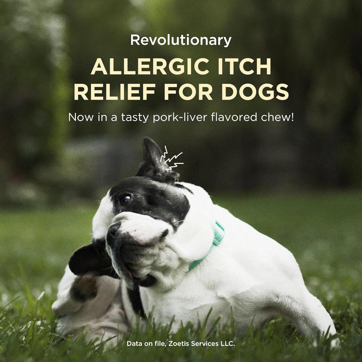 Chewable (Oclacitinib Chewable Tablet) for Dogs, 16 Mg, 30 Tablets