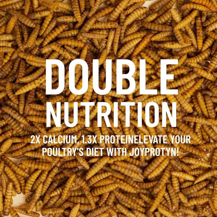 5LB Non-Gmo Dried Black Soldier Fly Larvae for Chicken – 85X More Calcium Grubs than Mealworms for Strong Eggshells & Healthy Growth - High Protein for Chickens, Birds, Ducks, Geese & Pets