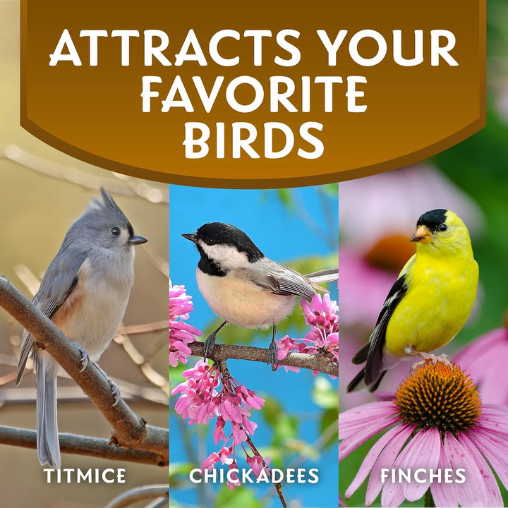 Sunflower Hearts & Chips Wild Bird Food, No Mess Sunflower Seeds for Birds, 5.5-Pound Bag