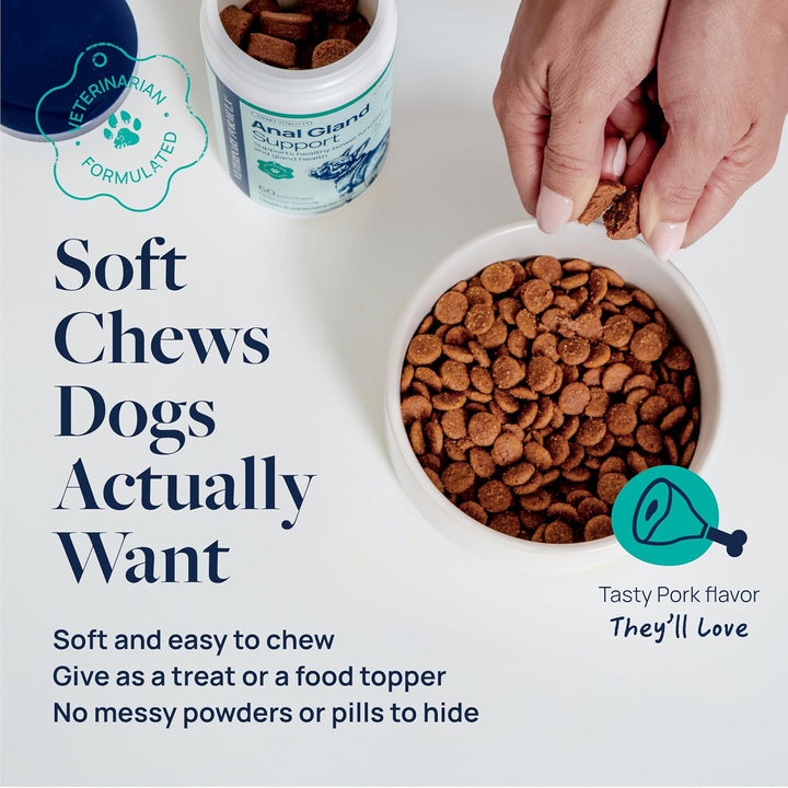 Anal Gland Support for Dogs – Vet-Formulated No Scoot Chews with Pumpkin, Ginger, Agave Inulin & Probiotics – Supports Scooting, Stool Quality & Digestive Health, 60 Soft Chews