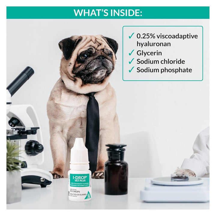 VET PLUS: Dog Eye Drops for Pets | Lubricate Acute/Seasonal Dry Eyes | Superior Comfort | Long-Lasting Relief | Fewer Application Needed, 0.25% Hyaluronan | Multi Dose Bottle | One Bottle 10 Ml