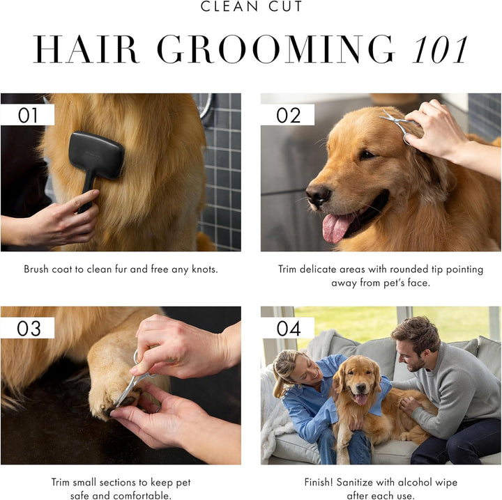 Pet Grooming Scissors, Stainless Steel Rounded Tip Trimming Shears for Dogs and Cats