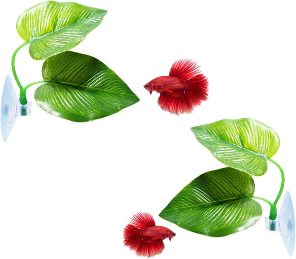 2 Pack Betta Fish Leaf Pad Improves Betta'S Health by Simulating the Natural Habitat - Natural, Organic, Comfortable Rest Area for Fish Aquarium Ornaments