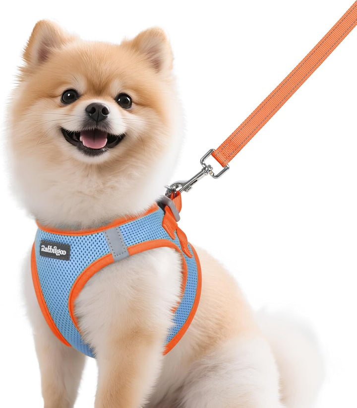 Dog Harness Small Sized and Leash Set, Step-In Breathable Pet Harness, Soft Walking Reflective Puppy Vest for Small Dogs, Black & Rose Red, S