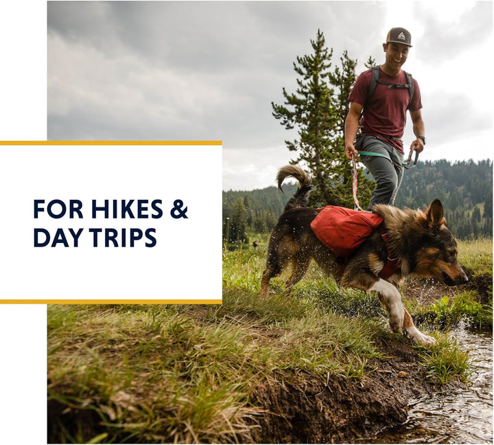 , Front Range Dog Day Pack, Backpack with Handle for Hikes & Day Trips, River Rock Green, Medium