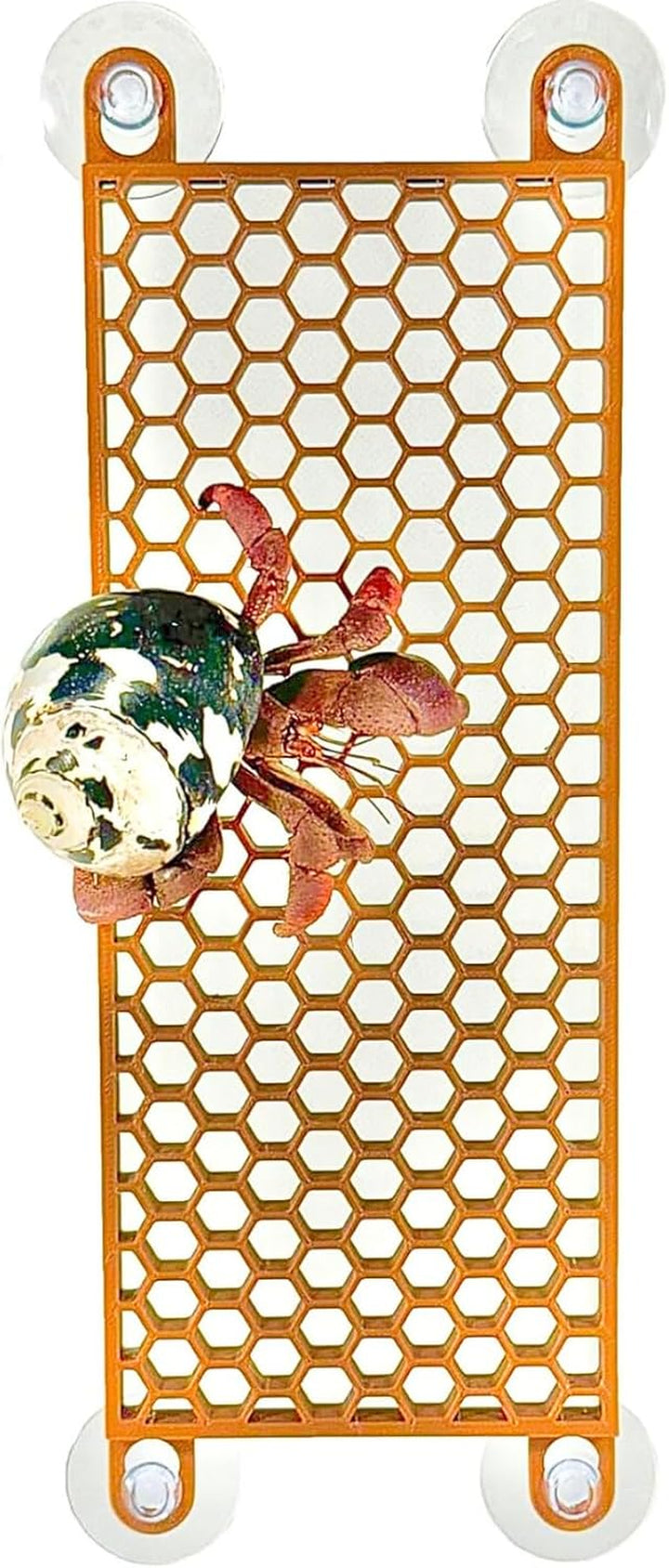 Hermit Crab Ladder Climbing Toy | Hermit Crab Tank Enrichment Decor | Hermit Crab Decoration Accessories Supplies Toys Ornaments