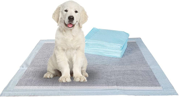 Puppy Pads Leak-Proof 100 Count 22"X 22" - Absorbent Pee Pads for Dogs with 6-Layer Design, Rapid Dry Sheet & Built-In Attractant - Dog Pad with Odor Control, Perfect for Puppies & Senior Dogs