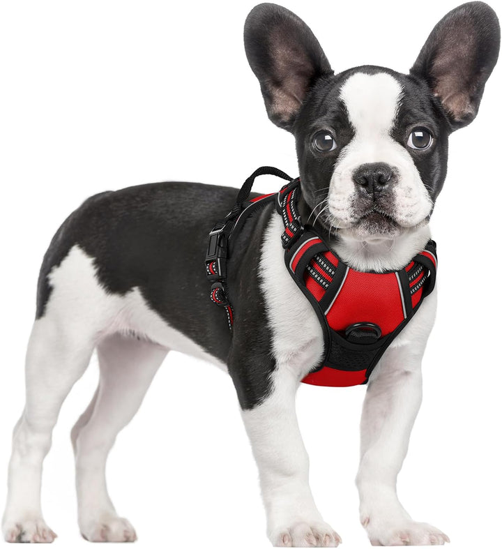 Dog Harness No Pull with 2 Leash Clips, Adjustable Soft Padded, Reflective Oxford No Choke Pet Vest with Easy Control Handle for Large Dogs, Black, L