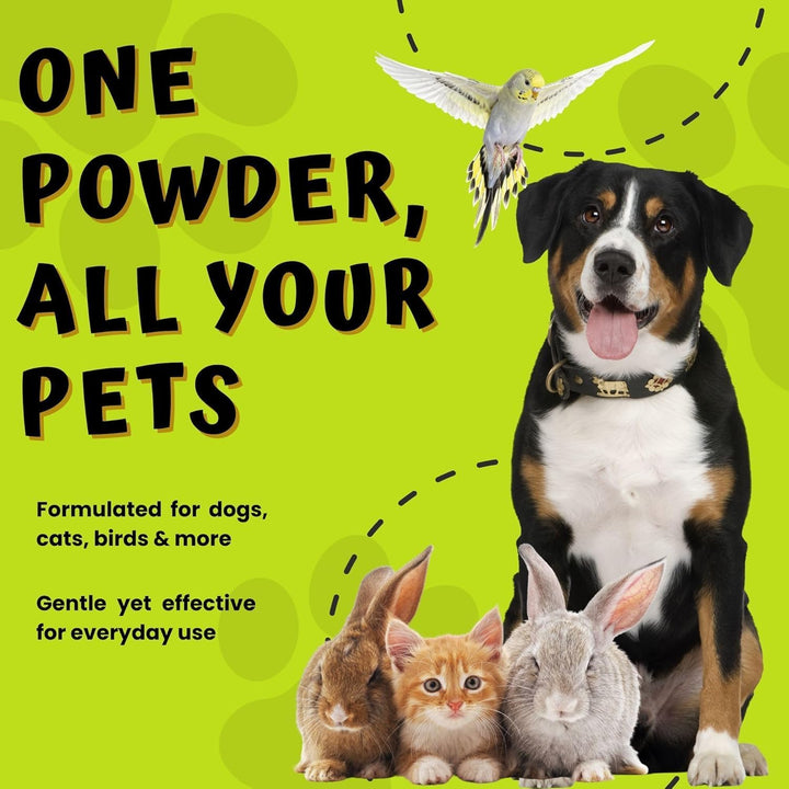 Styptic Powder for Dogs, Cats & Birds (2 Oz) – Fast-Acting Blood Clotting & Bleed Stop Powder for Pet Nail Trims, Clipping & Cuts – Easy-Use Wide Mouth DIP Can – First Aid Grooming Essential