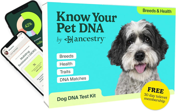 Ancestry Dog DNA Test: At-Home Testing, Breed Identification & Trait Insights, Canine Genetics Analysis, Unique Pet Parent Gift, New Puppy Essentials