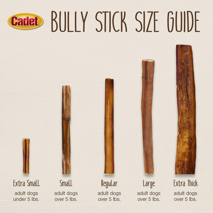 Bully Sticks for Small Dogs – All-Natural Beef Pizzle, High Protein, Low Fat, Long-Lasting, Grain & Rawhide-Free Dog Chews for Aggressive Chewers, Small (12 Ounce)
