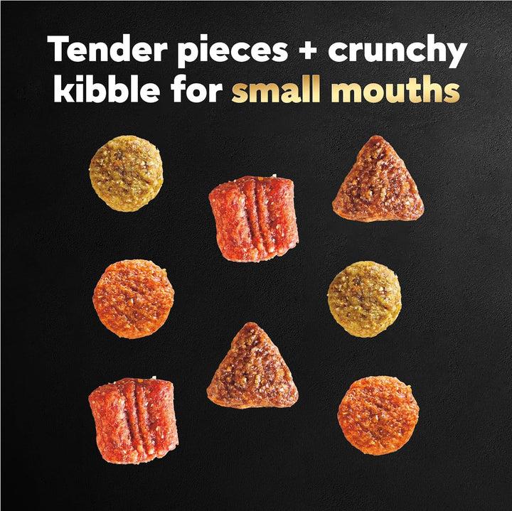 Small Breed Dry Dog Food Filet Mignon Flavor and Spring Vegetables Garnish, 12 Lb. Bag