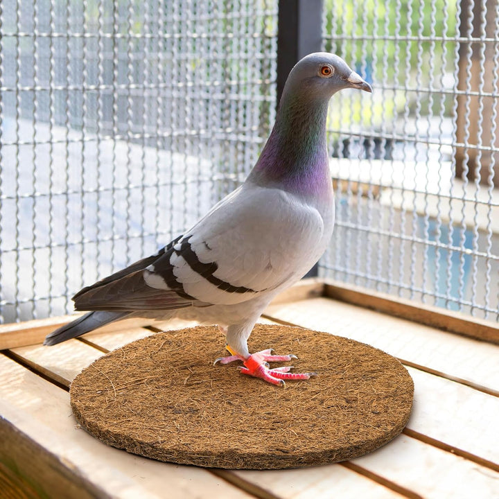 15 Packs Pigeon Nest Pads, Bird Breeding Mat for Chicken, Natural Coconut Fiber Bird Egg Mat, Nesting Bowl Box Pad for Parakeet Chicken, Pigeon Hatching Bedding Accessories