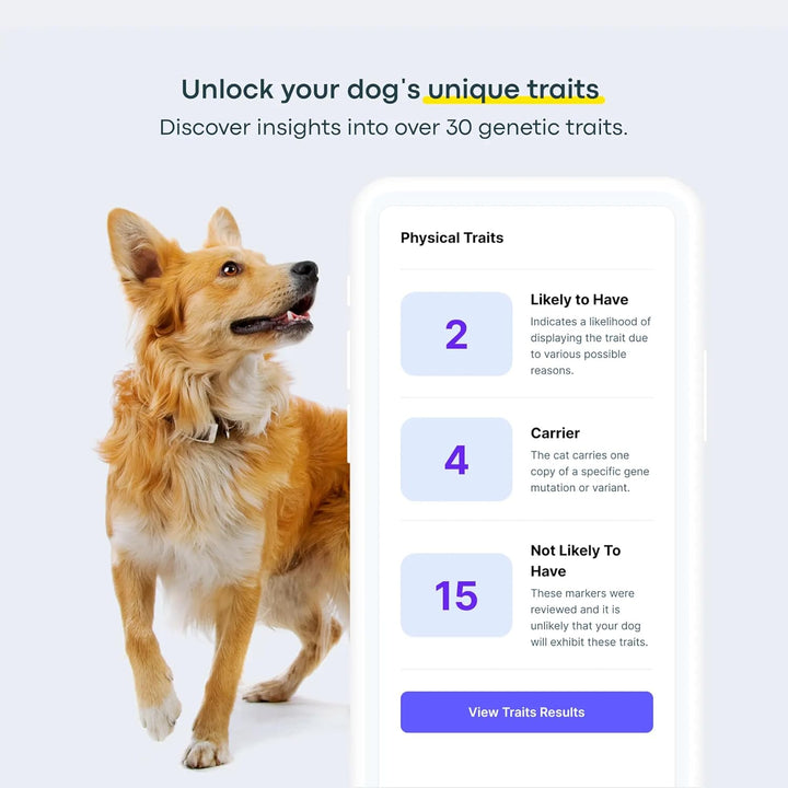 Dog DNA Testing Kit - 300+ Breeds, 280+ Health Risks, and 30+ Traits - Comprehensive Mixed Breed Identification, Pet DNA Test Kit, Canine Genetic Ancestry and Heritage