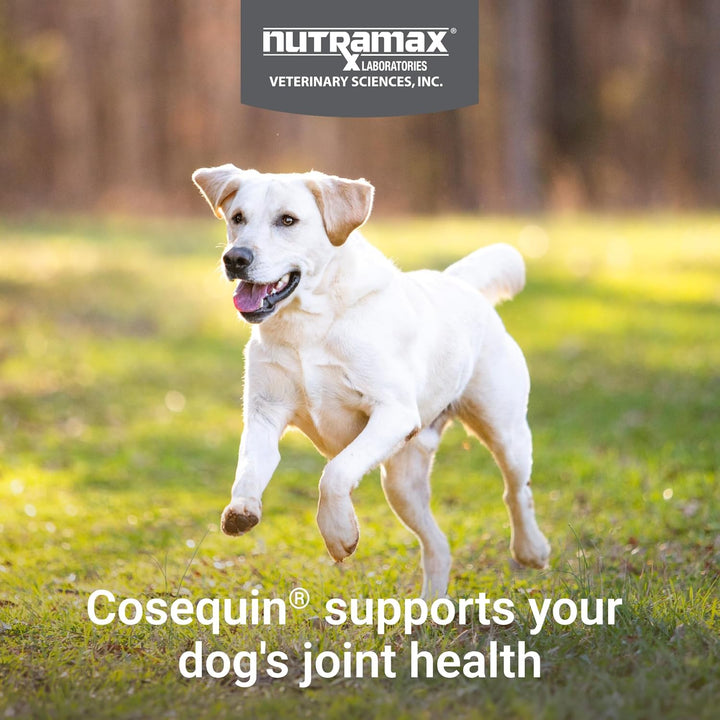 Nutramax Cosequin for Dogs Joint Health Supplement, Contains Glucosamine for Dogs, plus Chondroitin, MSM and HA, Supports Healthy Joints, Chewable Tablets, 75 Count