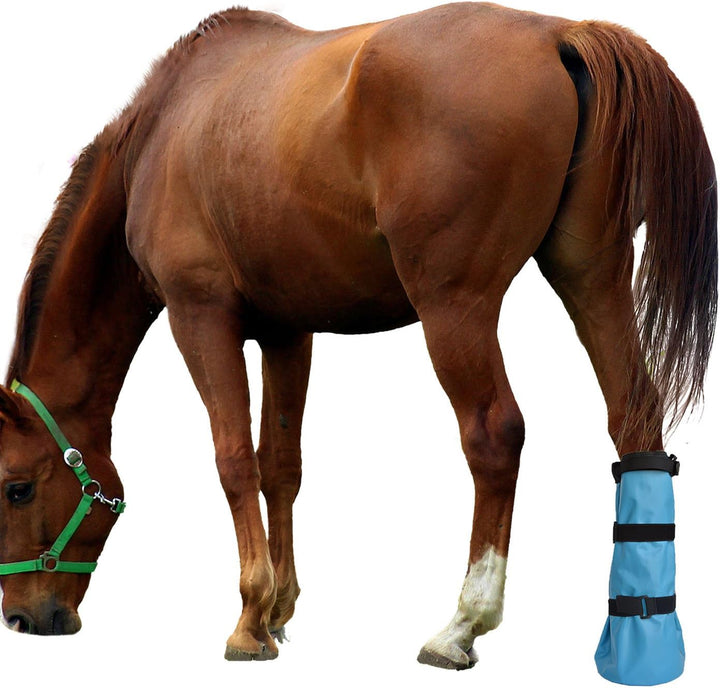 Hoof Soaking Boot Horse Soaker Hooves Treatment Bag with EVA Pad 1 Pair