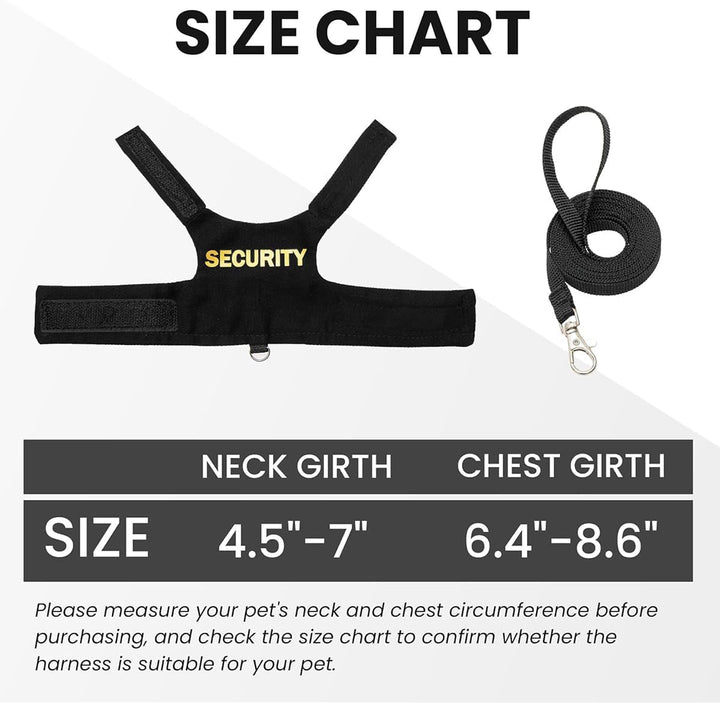 Bearded Dragon Carrier Backpack with Security Printing Harness Leash Set, Reptile Lizard Space Capsule Astronaut Clear Bubble Window Travel Carrier for Small Animal Guinea Pig(Black, Security Harness)