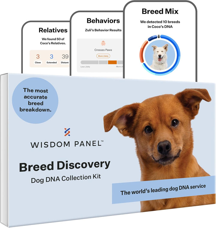 Panel Breed Discovery Dog DNA Kit: Most Accurate Dog Breed Identification, Test for 365+ Breeds, MDR1 Health Test, Ancestry, Relatives