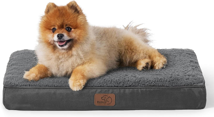 Dog Beds Large Sized Dog - Comfy Flat Pet Beds with Removable Washable Cover, Orthopedic Egg Crate Foam Puppy Mat, Suitable for Pet up to 65 Lbs