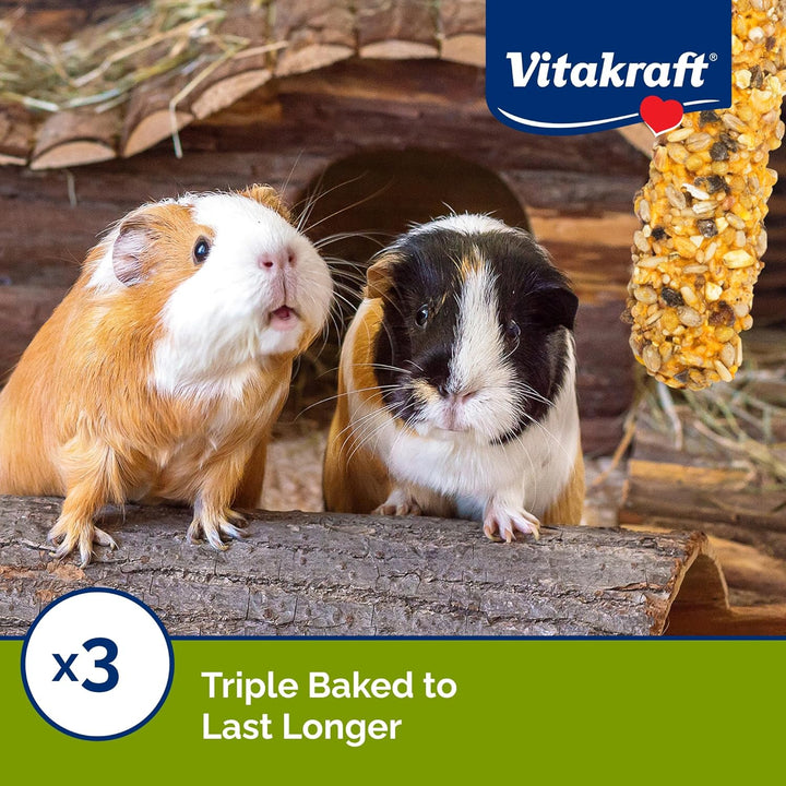 Guinea Pig Fruit & Honey Treat Sticks 2 Pack, 3.5 Ounce