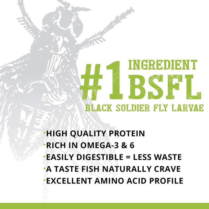 Bug Bites Bottom Feeder Fish Food, Granules for Small to Medium Sized Fish, 1.60 Oz., A6586