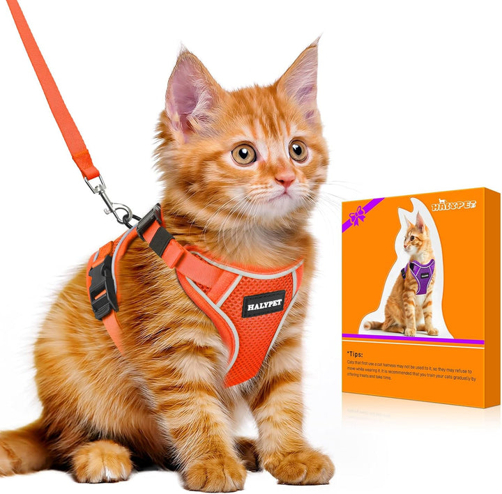 Cat Harness and Leash Set - MAX Safety 4Th-Gen Upgrade, Escape Proof, Adjustable, Comfortable Soft Vest, Easy to Wear Kitten Harness with Reflective Strip for Cats Walking - Small Black