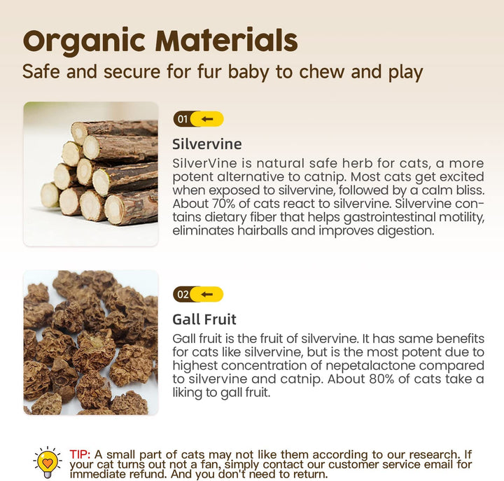 3 Pack Natural Silvervine Sticks Cat Toys, Catmint Silvervine Blend Sticks, Catnip Kittens Chew Toys Teeth Cleaning, Matatabi Dental Care Cat Treat Edible Kitty Lick Toys, Package May Vary