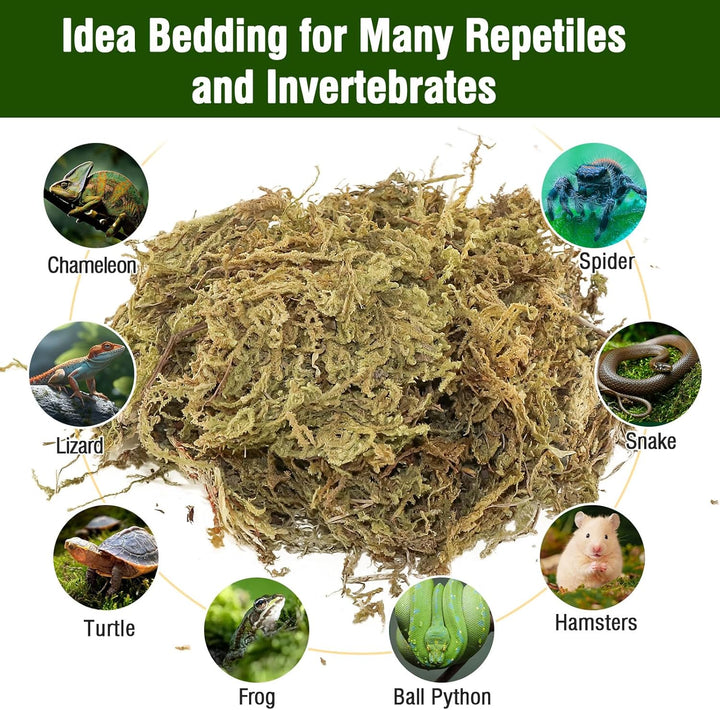 Natural Peat Moss Reptile Moss, Reptile Moss, Ideal Reptile Moss for Box Turtles, Hermit Crabs, Leopard Geckos, Snakes and Enclosures 7 OZ