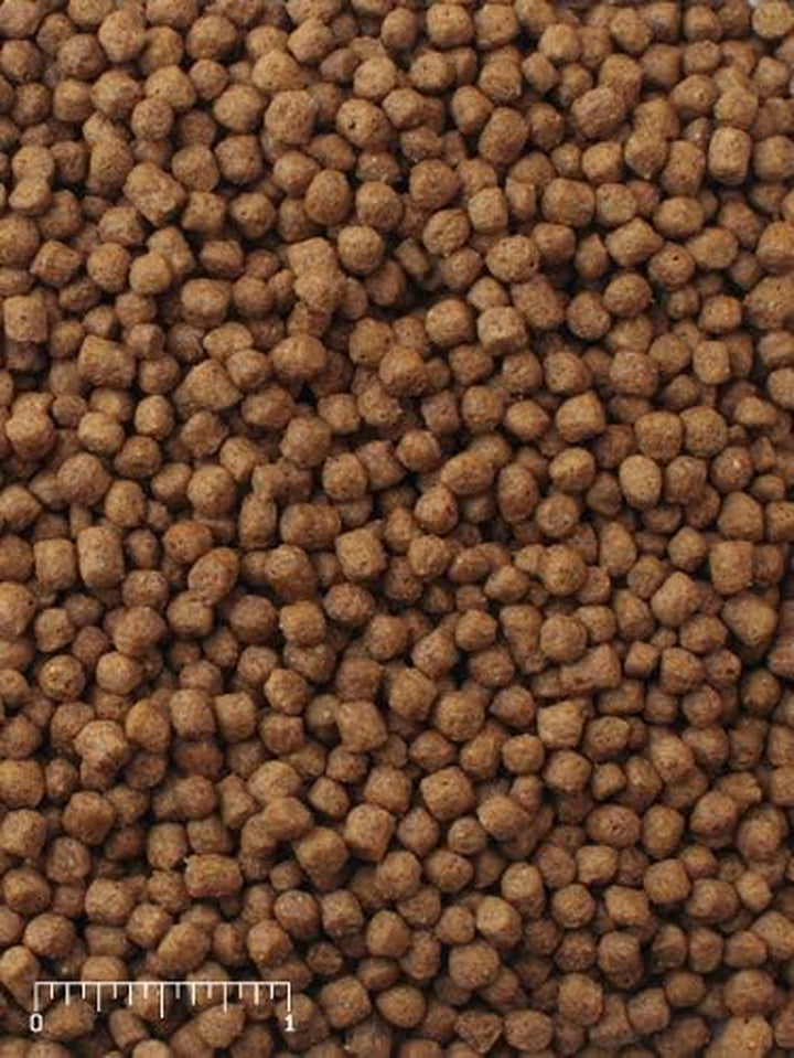 | Nutritionally Complete Aquatic Turtle Food | Freshwater Formula - 12 Ounce (12 Oz) Bag