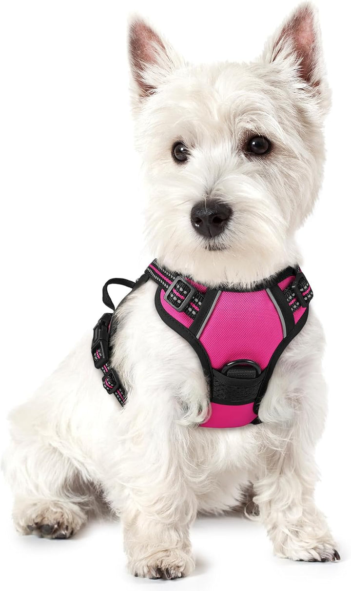 Dog Harness No Pull with 2 Leash Clips, Adjustable Soft Padded, Reflective Oxford No Choke Pet Vest with Easy Control Handle for Large Dogs, Black, L