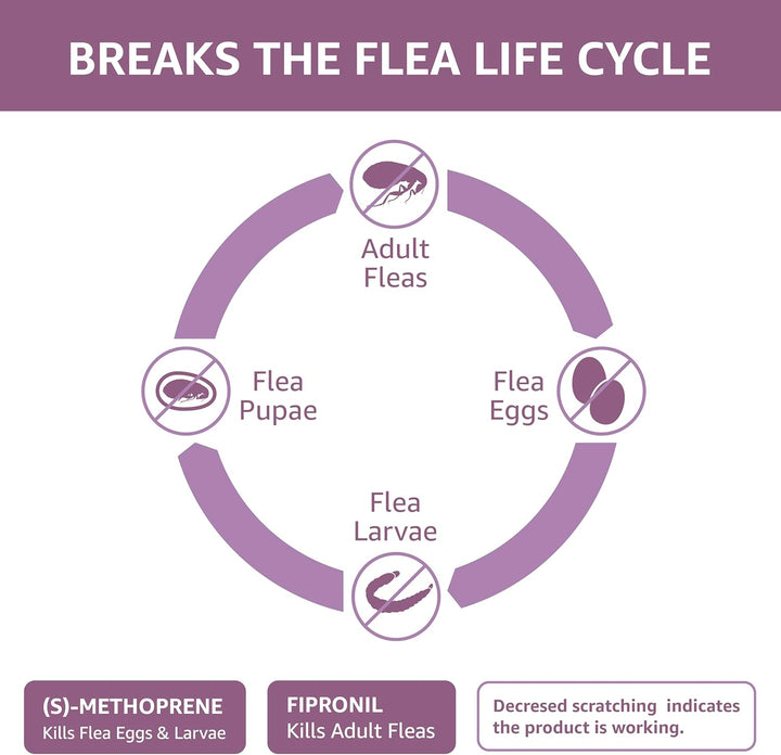 Flea and Tick Topical Treatment for Large Dogs (45-88 Lbs), Unscented, 6 Count (Previously Solimo)