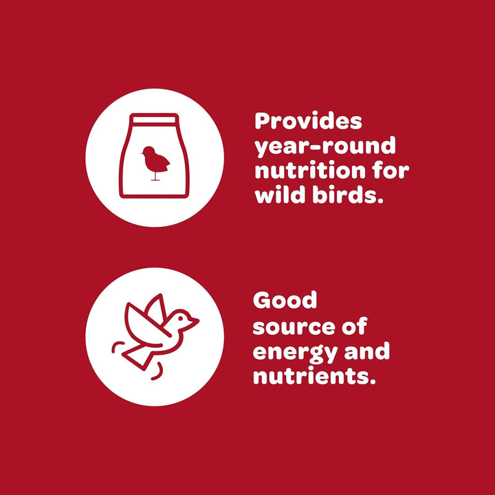 All American Wild Bird Food Seed Blend, 5 Pound