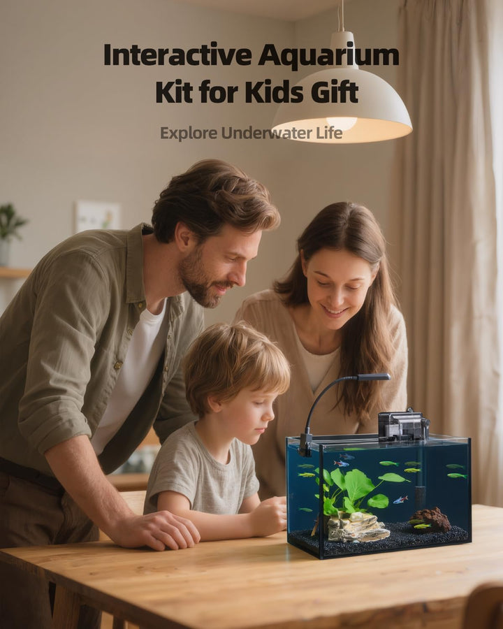 2.5 Gallon Glass Small Fish Tank Kit, Betta Fish Tank Aquarium Starter Kit with Filter, Lights, Lid, for Betta, Goldfish, Small Fish or Shrimp
