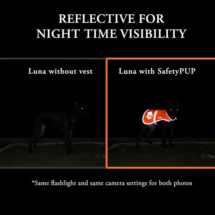 Reflective Dog Vest. Hi-Visibility, Fluorescent Blaze Orange Dog Vest Helps Protect Your Best Friend. Safeguard Your PUP from Motorists & Hunting Accidents, on or off Leash (Medium)