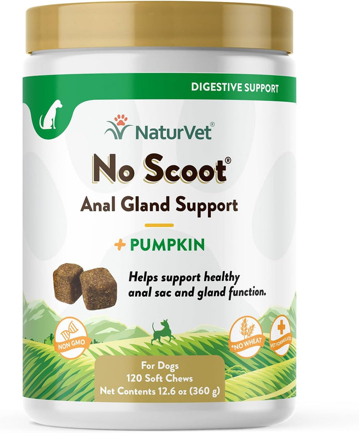 - No Scoot for Dogs - 60 Soft Chews - plus Pumpkin - Supports Healthy Anal Gland & Bowel Function - Enhanced with Beet Pulp & Psyllium Husk