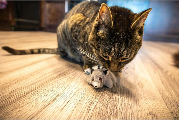 Lemur and Squirrel Cat Plush Set – 2 Piece Soft Cat Toys, Squirrel and Lemur Toy. (Pack of 2)