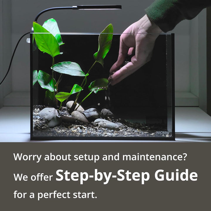 2.5 Gallon Nano Nature Aquarium Kit, Ultra-Clear Rimless Desktop Fish Tank with Light, Filter, Gravel and Rock, Perfect for Small Fish, Shrimp, or Betta, Complete Version, Black