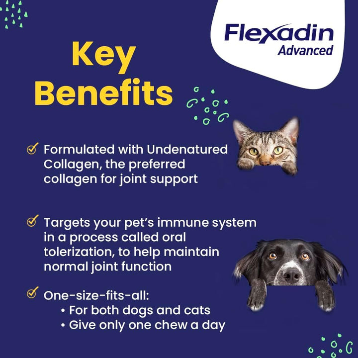 Flexadin Advanced Hip and Joint Supplement with Undenatured Collagen for Dogs, One Chew a Day Hip and Joint Support Chew for Dogs and Cats, Clinically Proven Vet-Approved Formula, 60 Chews