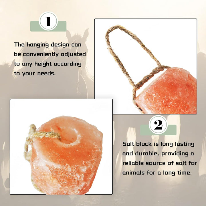 Himalayan Salt Lick Salt Block on Rope for Horse Animals Mineral Salt Licks Natural Pink Licking Salt for Horses Deer Cattle Sheep and Other Livestock (2 Pcs,4.8-6.6 Lbs)