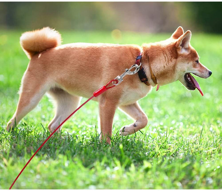 Dog Tie Out Cable 30 Feet - Heavy Duty Dog Lead up to 125 Pounds - Reflective & Rust-Free with Quick Release Swivel Clips & 360° Rotating Clasp - Tangle-Free Dogs Runner for Yard (Red, Single)