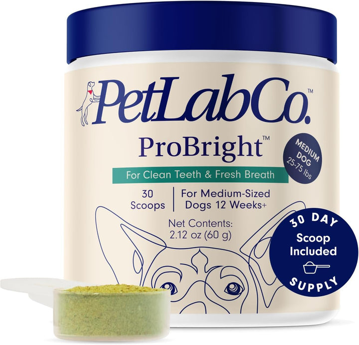 Probright Dental Powder - Dog Breath Freshener - Teeth Cleaning Made Easy – Targets Tartar & Bad Breath - Formulated for Small Dogs - Packaging May Vary