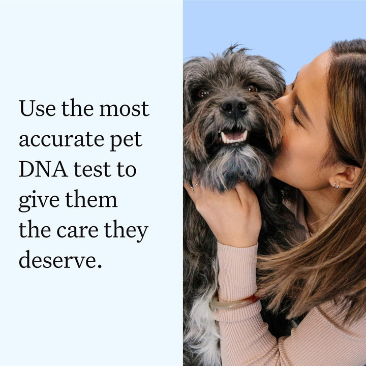 Health Essential Dog DNA Kit | Most Accurate Test | 365+ Breeds | 30 Genetic Health Conditions | 50+ Traits, Relatives, Ancestry | Pack of 1