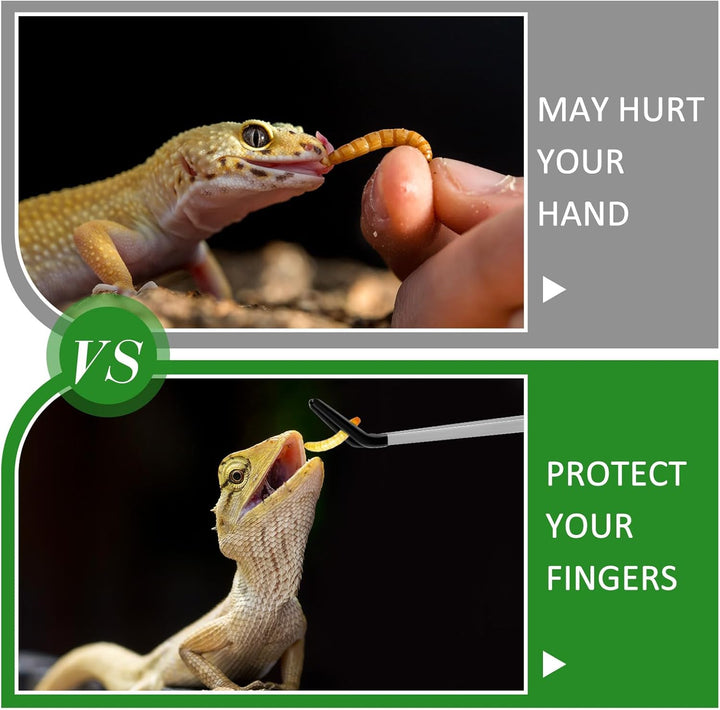 2 Pcs Extra Long Stainless Steel Reptile Feeding Tongs with Rubber Tip Bearded Dragon Aquarium Straight and Curved Long Tweezer Terrarium Feeder Tool for Tank(Silver, 10 Inch, 10.5 Inch)