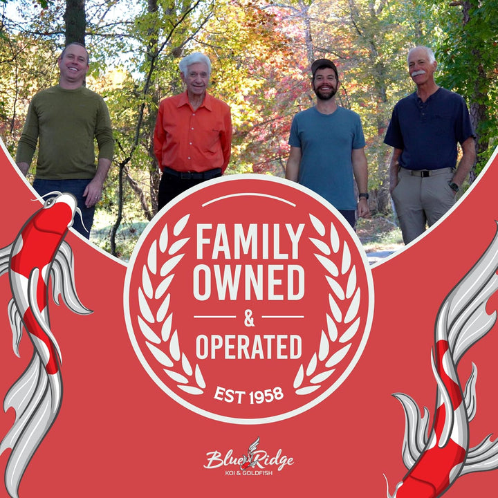 Blue Ridge Koi Fish Food 4.5Lb - Koi Food 3/16” Platinum Pro Formula Goldfish Food, Premium Fish Food for Ponds, Ponds Fish Food, Floating Pond Pellet