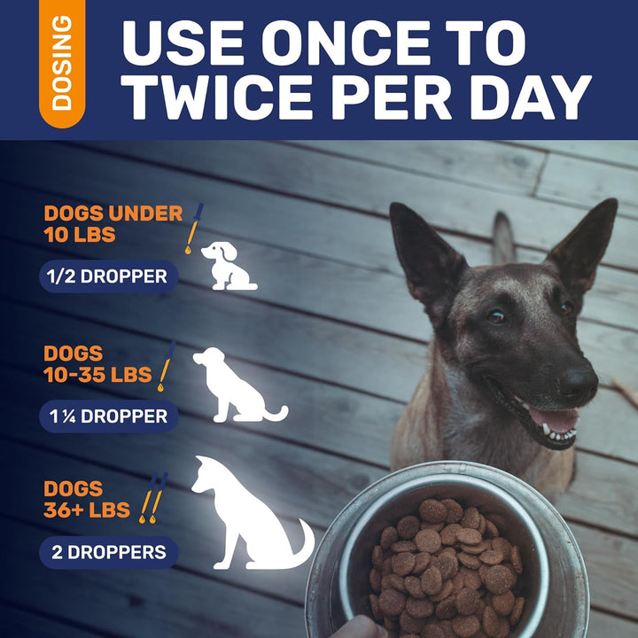 Natural Antibiotics for Dogs for Allergies, Infections, Coughs, Digestive Moments – Dog Antibiotics with Beef Flavor May Support Urination and Breathing – Organic Composition with Cranberry – 2 Oz