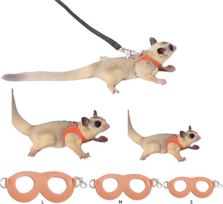 Sugar Glider Harness & Leash Set - Escape-Proof 3-Piece Adjustable Vest for Squirrels Rats Mice Mouse & Small Animals - Hamster Gerbil Walking Gear, Pet Toy Accessories, Black