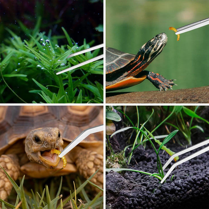 Aquascape Tools Aquarium Kit - 4PCS Terrarium Supplies Include Long Tweezers for Terrarium, Feeding Tongs, Aquarium Scissors, Algae Scraper for Fish Tank Cleaning Plant Trimming